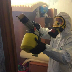Уничтожение клопов в квартире. Пески